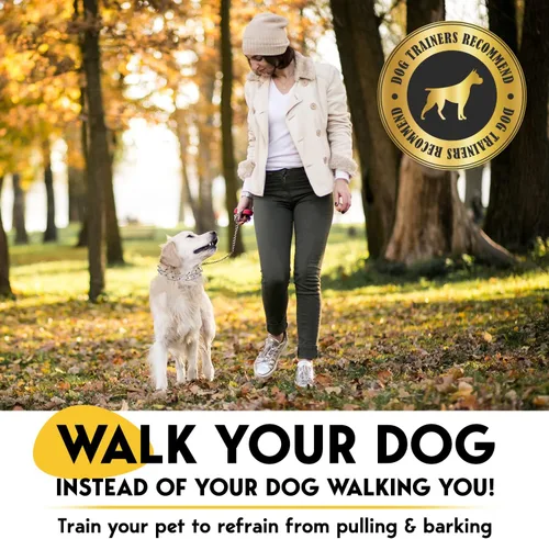 Vista 2 de PetJett Collar de Ahogo para Perros Collar de Entrenamiento Collar de Púas Ajustable para Perro Collar de Liberación Rápida de Pellizco para Perro