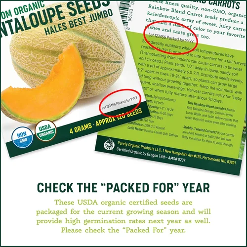Vista 4 de Semillas de cebolla orgánicas (Walla Walla) – Aproximadamente 200 semillas – USDA Organic, sin OMG, polinizado abierto, reliquia, origen