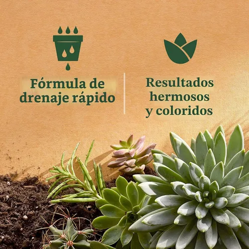 Vista 7 de Miracle-Gro Mezcla para macetas de interior para cactus y suculentas, 8 cuartos de galón (paquete de 2) Mezcla para macetas de cactus y suculentas