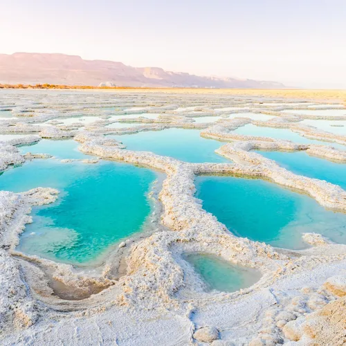Vista 7 de LA SALT CO 1400 por debajo de 5 libras en tarro de sal del mar muerto, grano fino – baño de pies y spa, exfoliante corporal, 100% puro y rico