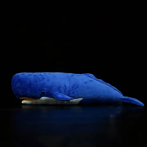 Vista 7 de Juguete de peluche realista de ballena espermática – Juguetes de peluche de ballena espermatozoides largos y realistas, súper suaves, muñecos