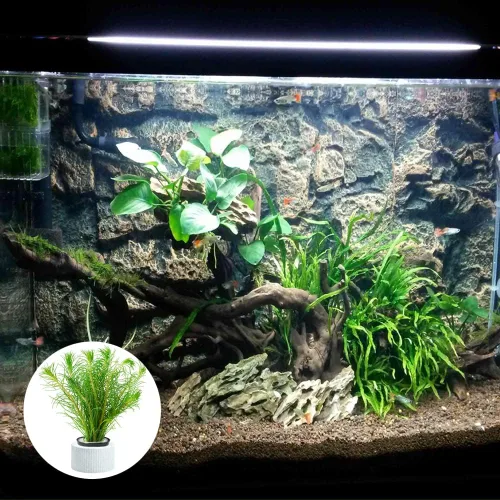 Vista 5 de 6 anillos de cerámica antiflotantes para plantas de acuario, anillos fijos para plantas acuáticas, paisaje de acuario, fijación de plantas