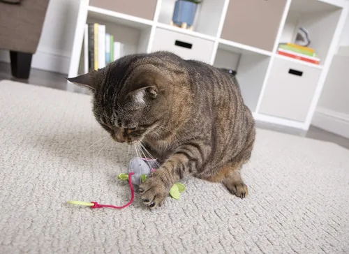 Vista 9 de SmartyKat Juguetes de peluche para gatos con forma de ratón hinchable, 3 unidades, multicolor, 3