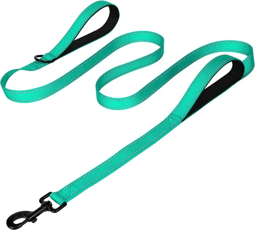 Vista 16 de Joytale - Correa reflectante de doble cara para perro, 6, 5 y 4 pies, resistente de nailon, asa acolchada, para pasear perros pequeños y medianos