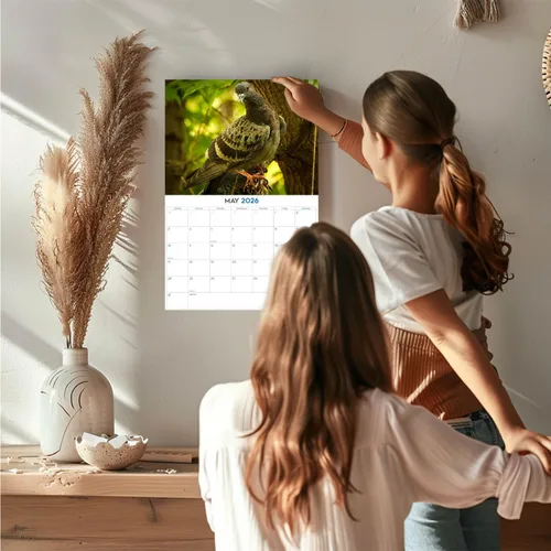 Vista 615 de Calendario de grises africanos 2025 2026 – Planificador mensual de pared de aves africanas – 12 x 18 pulgadas (abierto), calendario de pared