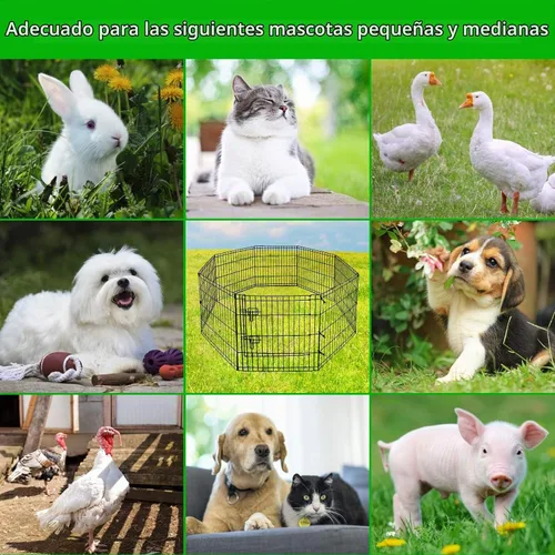Vista 8 de Corralito para cachorros, 8 paneles de 24 pulgadas, para interiores