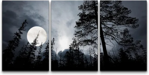 Vista 61 de wall26 Lienzo enmarcado para pared, juego de arte de noche estrellada sobre montañas, cielo nocturno tranquilo, naturaleza, desierto, fotografía