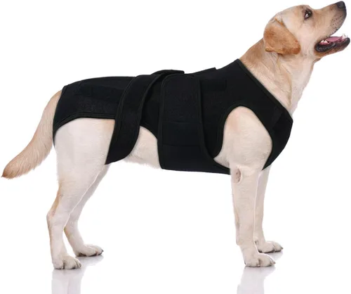 Vista 8 de Soporte de espalda para perros pequeños, soporte de estabilidad espinal, color negro, S Spinal Stability Brace with 5 Flexible Plastic Strips