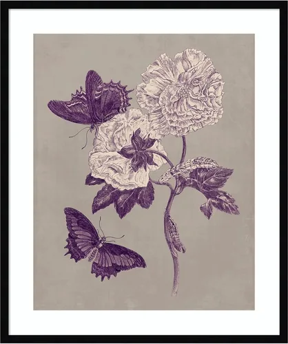 Vista 19 de Amanti Art Lienzo decorativo para pared, 24 x 20 pulgadas, estudio de la naturaleza en ciruela y gris pardo IV por Maria Merian, arte de pared