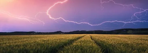 Vista 2 de Ravensburger - Rompecabezas para adultos - Rompecabezas panorámico de 500 piezas - Tormenta de verano (Edición Naturaleza) - Rompecabezas