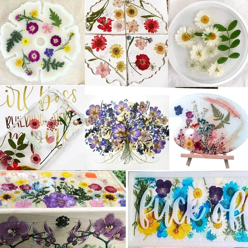 Vista 4 de BIHRTC 100 hojas secas prensadas naturales, hojas secas prensadas, girasoles, crisantemo, margaritas para manualidades, resina, joyería, fabricación
