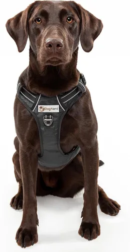 Vista 8 de Chaleco/arnés de cobertura completa ajustable de alta calidad para perros grandes (50-90 libras), clips de metal, mango acolchado, 2 clips