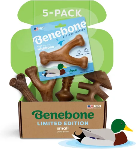 Vista 13 de Benebone - Paquete de 2 juguetes masticables duraderos para perros, diseño Maplestick/Zaggler, tocino real, madera de arce real, fabricados