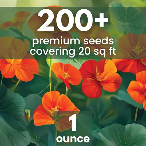 Vista 2 de Nasturtium majus - Paquete grande de 1 onza - 200 semillas de flores para plantar - Tropaeolum majus