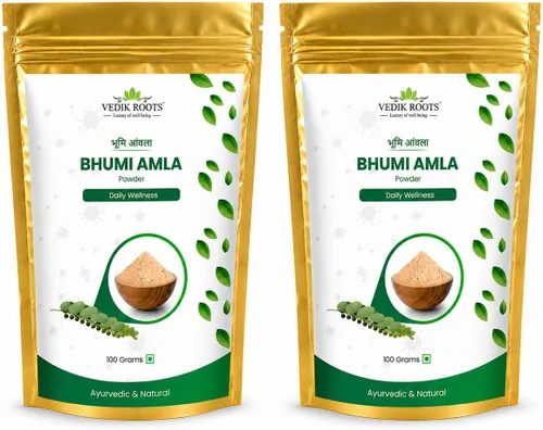 Vista 13 de Polvo orgánico Bhumi Amla – Rico en Vitamina C Antioxidante – Apoya la función inmune saludable 3.53 oz (paquete de 1)