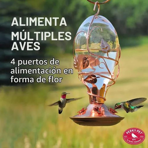 Vista 2 de Perky-Pet 8110H-1 - Comedero de cristal para colibríes para exteriores, capacidad de néctar de 32 onzas