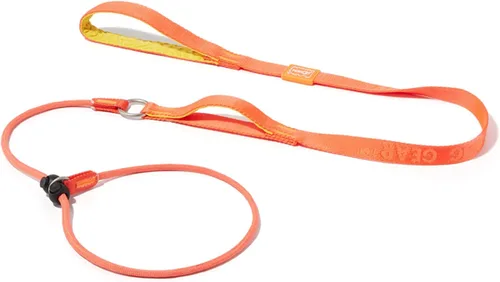 Vista 22 de HowGo Correa antideslizante para perro con 2 tapones con resorte