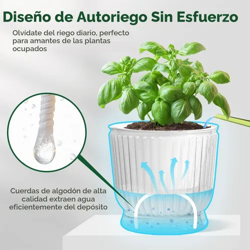 Vista 4 de T4U Macetas de riego automático para plantas de interior de 4 pulgadas Transparente