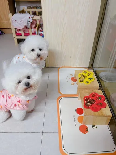 Vista 6 de Almohadilla para lamer perros, dispositivo de distracción de lavado de perros, tapete lindo para comer lento con súper succión para lamer Verde
