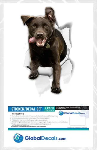 Vista 5 de Winston & Bear Calcomanías 3D para perros, paquete de 2, calcomanías de labrador de chocolate emocionado para pared, nevera, inodoro y más