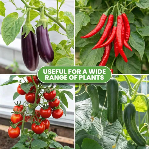 Vista 8 de Jaula de tomate – Estacas grandes de enrejado y estructuras de soporte para plantas para verduras y plantas trepadoras – Jaulas altas para tomate