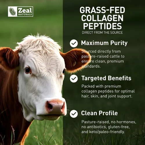 Vista 2 de Zeal Naturals Péptidos de colágeno hidrolizados en polvo, 0.35 onzas de proteína, colágeno alimentado con pasto para mujeres y hombres, aminoácidos