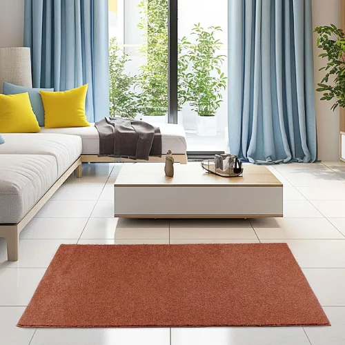 Vista 2 de Ambiant Alfombras de Área de Color Sólido Aptas para Mascotas Óxido - 2' Redonda, Interior, Resistente a Manchas y Decoloración, Perfecta para Sala