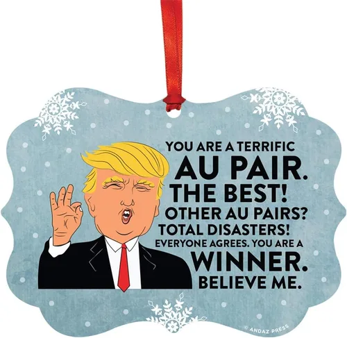 Vista 46 de Andaz Press Presidente Donald Trump Fancy Frame Recuerdo Adorno de Navidad Regalo de broma Ejecutivo de Cuenta, 1 paquete, Divertidas Ideas