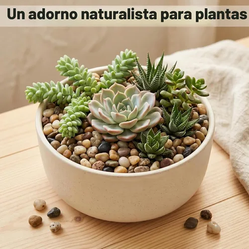 Vista 2 de Guijarros mezclados, pulidos, decorativos, naturales, 3/8 pulgadas de tamaño, de grava