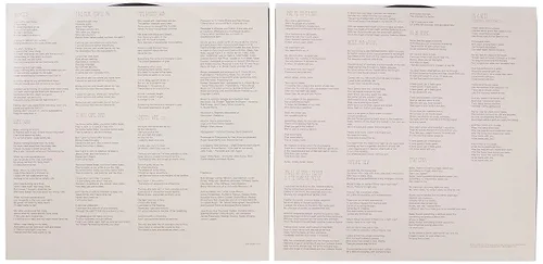 Vista 5 de Hozier