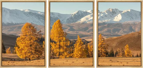 Vista 51 de SIGNWIN Lienzo enmarcado para pared, juego de arte nublado de tormenta, cielo, bosque otoñal, árboles, rústico, naturaleza, fotografía, realismo