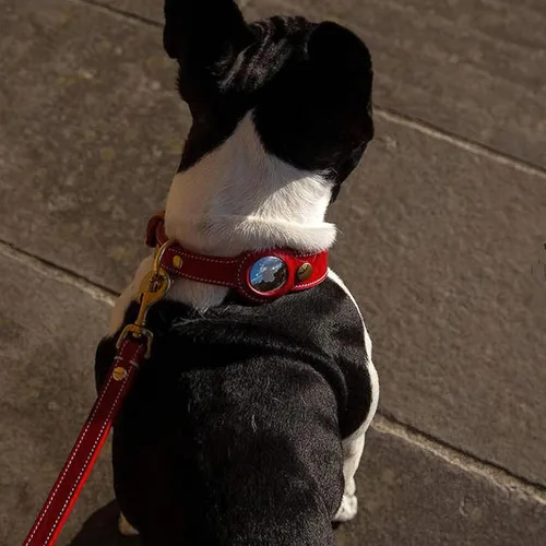 Vista 3 de Collar de perro, soporte para collar de perro AirTag, collar de perro impermeable con AirTag, collar de perro rastreador GPS para perros pequeños