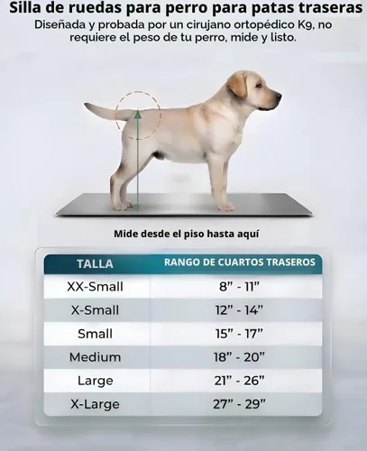 Vista 3 de Silla de ruedas para perro Best Friend Mobility tamaño extra pequeño