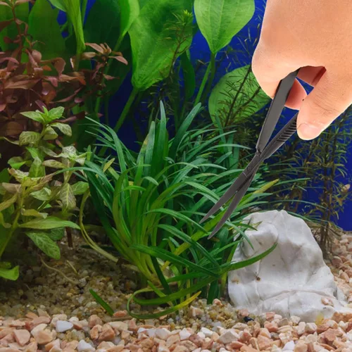 Vista 7 de POPETPOP Tijeras curvadas de acuario de 6.1 pulgadas, tijeras de hierba para agua, acción de precisión con resorte para paisajismo acuático y poda