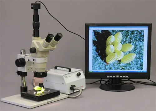 Vista 3 de ILUMINADOR DE MICROSCOPIO DE FIBRA ÓPTICA DE 150W CON ANILLO DE LUZ