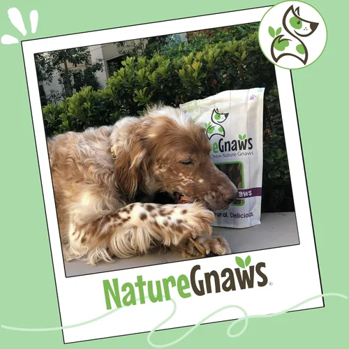 Vista 7 de Nature Gnaws Paquete variado de masticables para perros grandes, 12