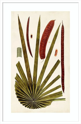 Vista 6 de Amanti Art Vision Studio - Lienzo decorativo para pared, 24 x 17 pulgadas, variedades de hojas VI por Vision Studio, arte de pared de naturaleza