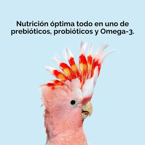 Vista 5 de Kaytee Nutri Soft Pet - Alimento para pájaros de guacamayo y cacatúa, 3 libras