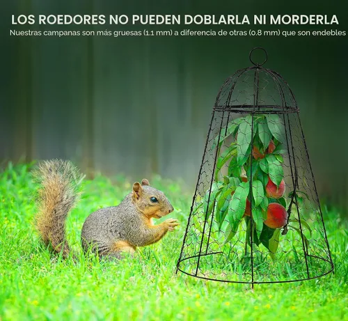Vista 5 de boldworks Cloches de Jardín para Plantas, Jaulas de Alambre de Pollo para Proteger de Animales al Aire Libre, Extra Grandes, Resistente a