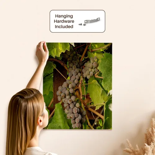 Vista 5 de 3dRose USA, Oregon, Keizer, Pinot Gris grape vineyard - US38 RBR0729 - Rick A Brown Museum Grade Canvas Wrap 16x20