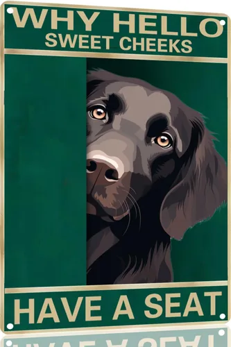 Vista 25 de Labrador Retriever - Letrero de metal con texto en inglés "Why Hello Sweet Cheeks Have A Seeks Have A Seeks" (1683)