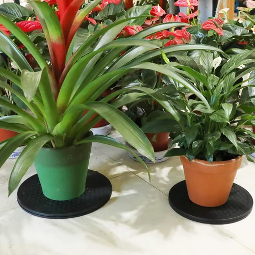 Vista 6 de Plataforma giratoria para bonsái de 10 pulgadas, soporte giratorio de jardín resistente para recortar y mostrar fácilmente la planta en maceta