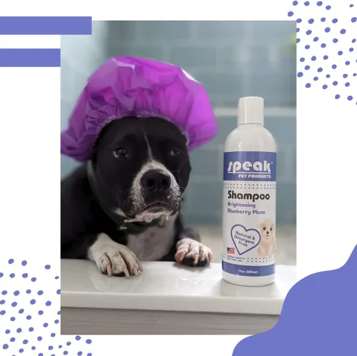 Vista 4 de Speak Pet Products Champú Brightening para perros, ciruela de arándanos, 17 onzas