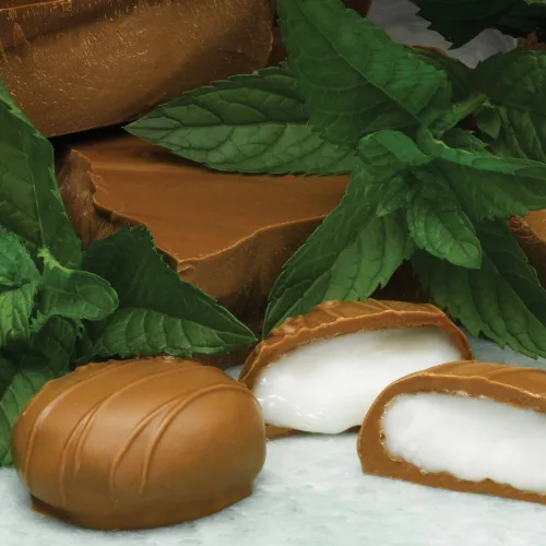 Vista 2 de Philadelphia Candies Empanadas de menta cubiertas de chocolate con leche, caja de regalo de 12.5 onzas