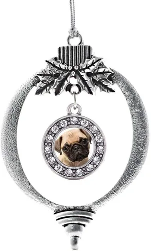 Vista 397 de Inspired Silver - Adorno de cromosoma 21 con dije de círculo de plata con joyas de circonita cúbica