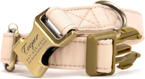 Vista 5 de Collar de perro personalizado con nombre y número de teléfono grabado, collar ajustable personalizado para cachorros, collar de algodón orgánico