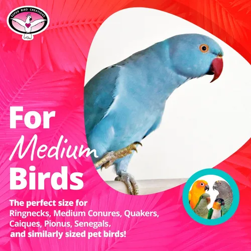 Vista 4 de Super Bird Creations SB1202 - Juguete para pájaros pequeños de arco iris, satisface los instintos de masticación y acicalamiento de loros, conures