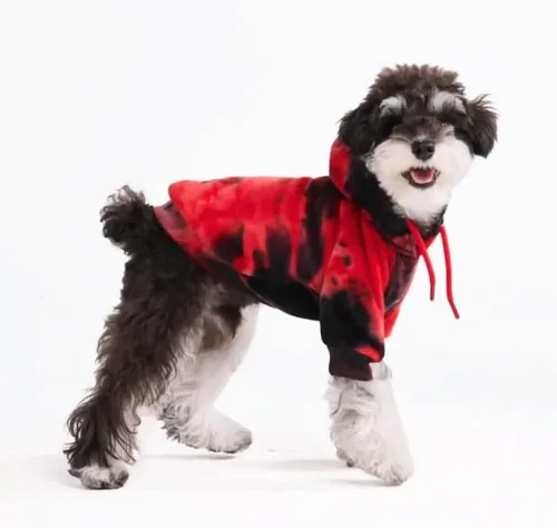 Vista 110 de Spark Paws Sudadera con capucha para perro, suéter de primera calidad para perros pequeños, medianos y grandes Trajes cálidos para bulldogs