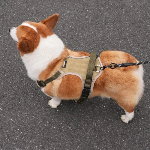 Vista 8 de Arnés para perro pequeño, arnés reflectante resistente táctico sin tirones y collar - seguro, sin estrangulamiento, chaleco para mascotas fácil