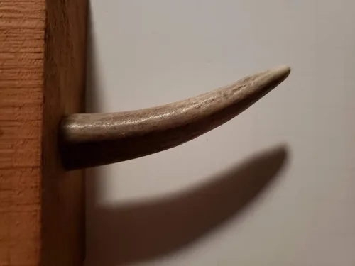 Vista 8 de Ganchos de pared con punta de asta real, atornillados en madera o paneles de yeso, paquete de 3